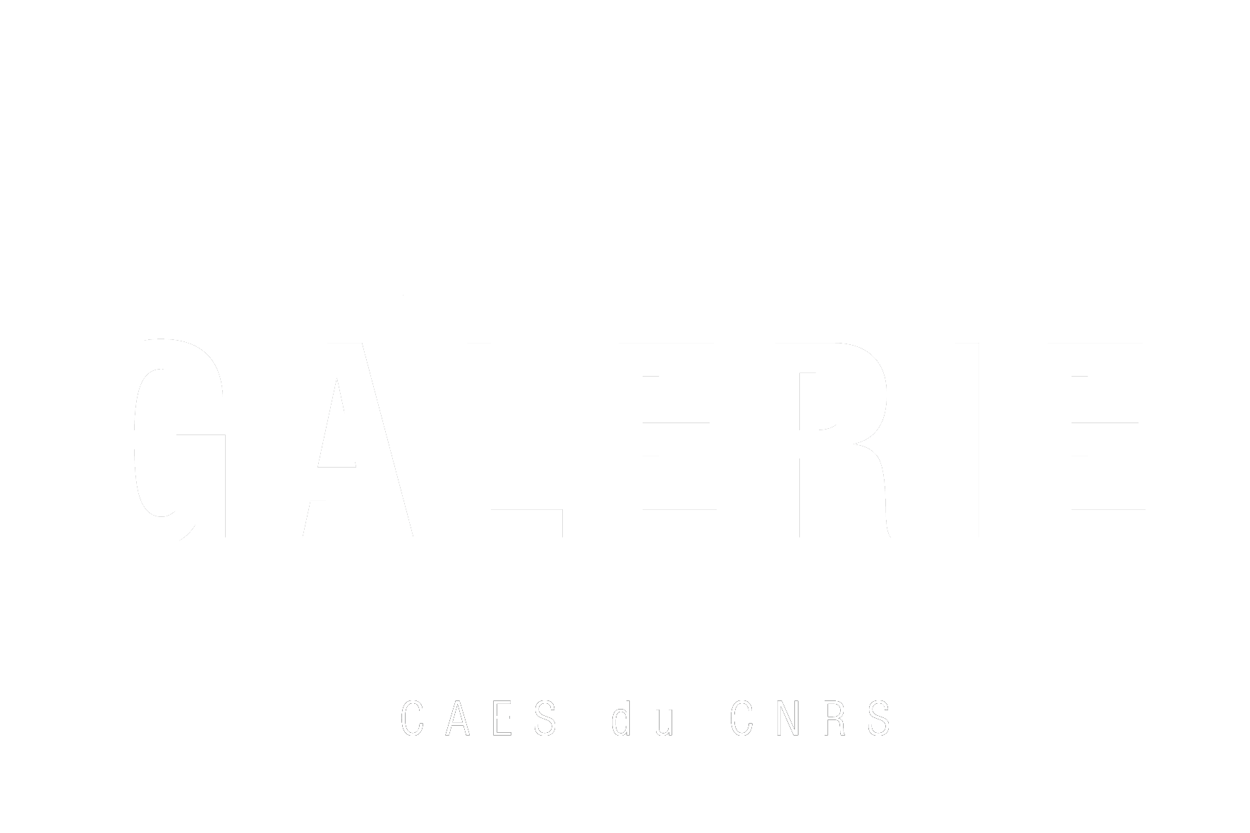 L'espace d'exposition artistique du CAES du CNRS